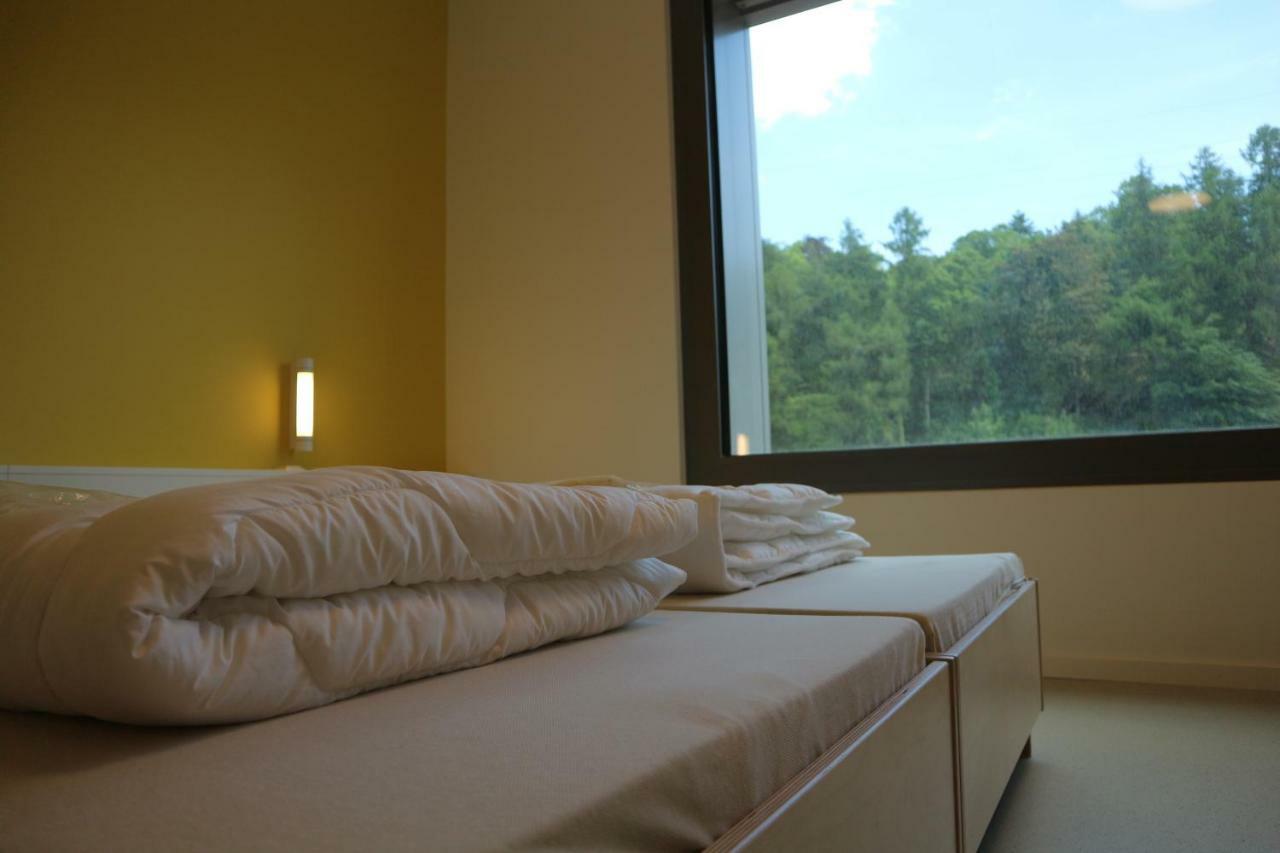 Youth Hostel Esch/Alzette Екстериор снимка